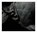 <b>Bronce domado.</b> Detail of the equestrian statue of Charles IV, Mexico City (2007).